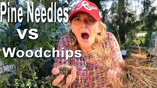 Gardening Ideas for Home Garden, Pine Needles for Mulch or Composting, Making Soil Container Garden