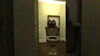 skibidi pug 2
