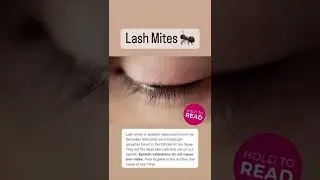 Wash Your Lashes | Lash Bath Are Essential
