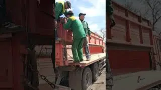 друзья