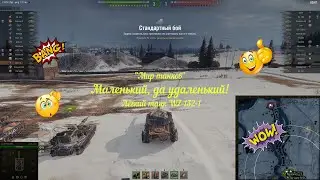 Мир танков. Эрленберг. WZ-132-1.