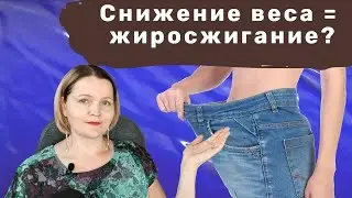 Потеря веса = жиросжигание?