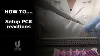 HOW TO... setup PCR reactions