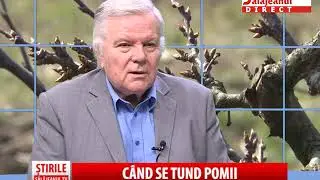 CAND SE TUND POMII