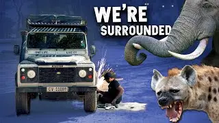 My Defender Broke Down in a Wild Game Reserve... 
