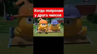 24 мая 2023 г.
