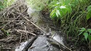 Плотины бобров 2 (Beaver Dam). Relax