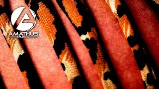 Tio Pepe - Spanglish (DJ Revitalizer Remix)