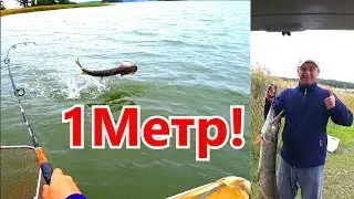 Super Pike Fishing! Huge Lures 