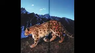 (free) Yeat x Sapjer x Kanye West type beat 