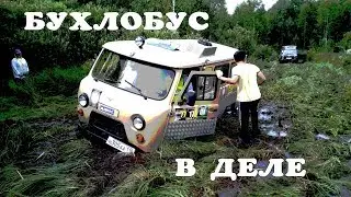 Бухлобус в деле