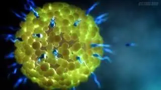 Stock video Showreel 2013