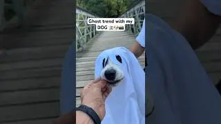 Ghost trend with my DOG 🐶👻 