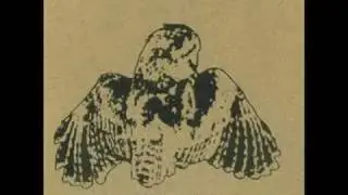 Wow, Owls! - Let's Get The Fuck Out Of Racoon City