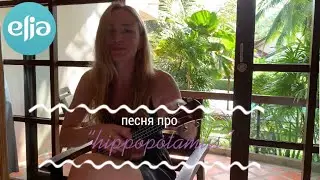 «Меня за попу укусил гиппопотам!»
