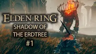 Два года прошло, а унижают все также... | ELDEN RING SHADOW OF THE ERDTREE #1