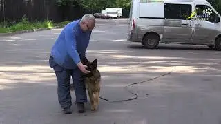 Тригер 72, Смещение к проводнику с удержанием внимания на объекте
