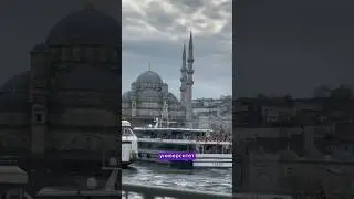 Ифтар для студента в Стамбуле! #студенты #türkiyebursları #бесплатноеобразование #томер