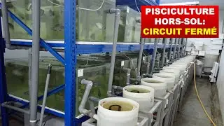 Pisciculture hors-sol : Circuit fermé