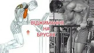 ВІДЖИМАННЯ на БРУСАХ / Тренування на грудь