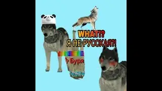 Я что англичанка?!||реакция игроков||