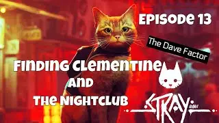 Finding Clementine / Nightclub | Stray | Episode 13 | The Dave Factor