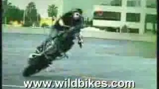 Wild Bikes 8