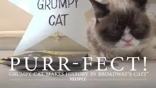 Grumpy Cat Joins CATS on Broadway!