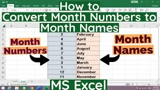 How to Convert Month Number to Month Name in Excel | Convert Month Numbers into Month Names in Excel