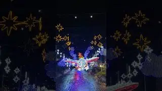 Новогодние огни Медельин 2023-24, Колумбия / Alumbrados Medellín 2023