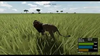 average wildsavanna server