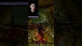 Типичная битва в Скайриме с модами | Skyrim STB 2.0.                     