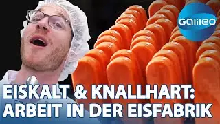 Dieser Job ist kein Eis-Schlecken: So anstrengend ist die Eisfabrik | Galileo | ProSieben