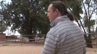 Starting Magic on Western Training