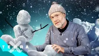 Are there two identical snowflakes? | Harald Lesch