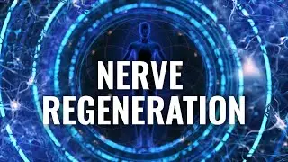 Nerve Regeneration Sound Therapy: Binaural Beats for Repairing Nerve Damage