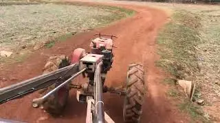 ដឹកអាចម៍គោដាក់ស្រែ