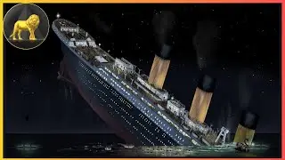 Stock Market Economy Bear Market Rally