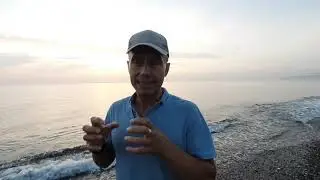 Цитрусовый совхоз. Пешком по пляжу до реки Бзыбь. Абхазия 29 сентября 2020 г.