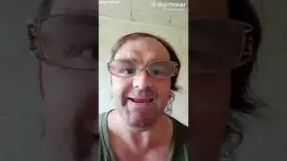 Два веселых гуся