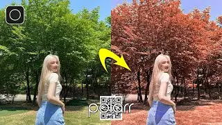POLARR - Filter Autum