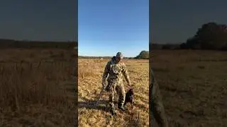 13 октября, охота на перепела продолжается 😁