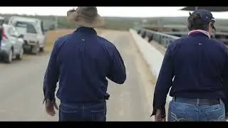 JOHN DEE BEEF BRAND VIDEO