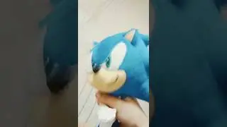 this is Sonic