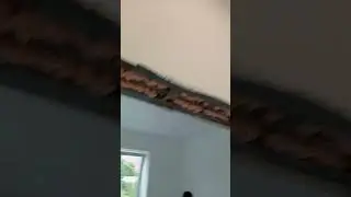 Потолки
