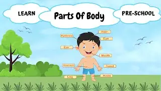 Learn Parts of Body for Kids | Preschool Education | Body Basics | Kids Learning