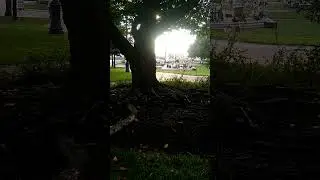 Black Magic Woman cover