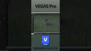 How to get rid of the camera shake in your video With Mocha VEGAS #VegasPro #VegasPro21 #MochaVegas