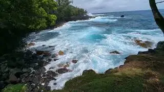 Mackenzie State recreation area Big Island Hawaii
