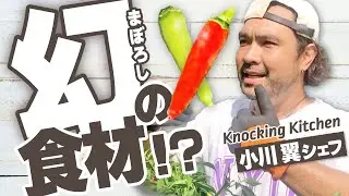 A delicious dish using a local vegetable, "Kagawa hontaka" that once disappeared!｜Japan